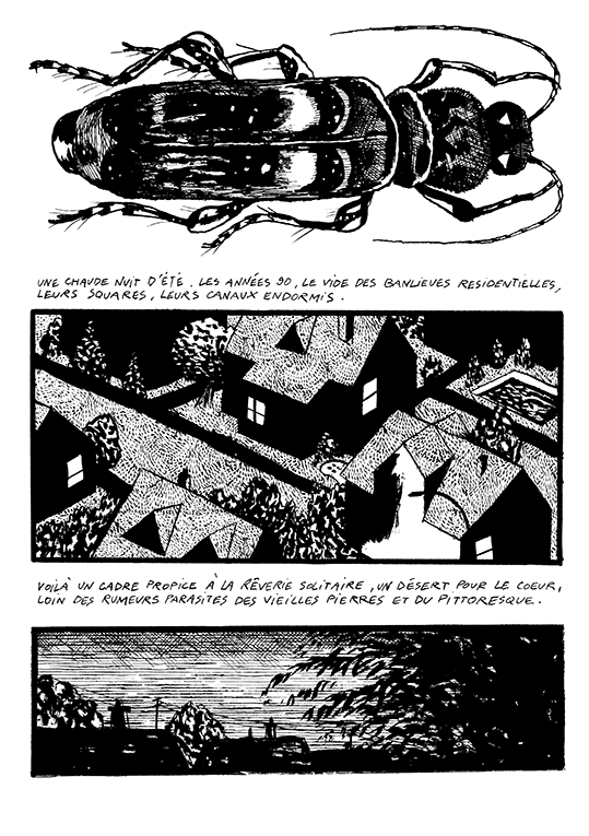 Nuit du capricorne (La) – Image 2